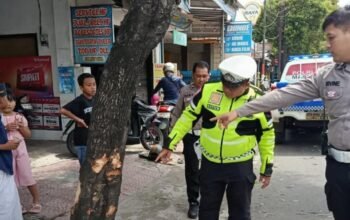 Dua Perempuan Tewas dalam Kecelakaan Tunggal di Jalan Letjen S. Parman Banyuwangi, Motor Tanpa Nopol Tabrak Pohon