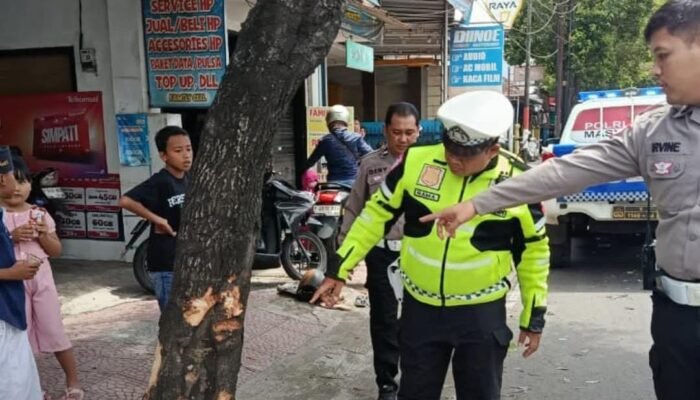 Dua Perempuan Tewas dalam Kecelakaan Tunggal di Jalan Letjen S. Parman Banyuwangi, Motor Tanpa Nopol Tabrak Pohon