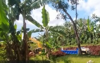 Tambang Galian C Diduga Ilegal di Dasri Banyuwangi, Kades Bungkam – Ada Apa Ya?