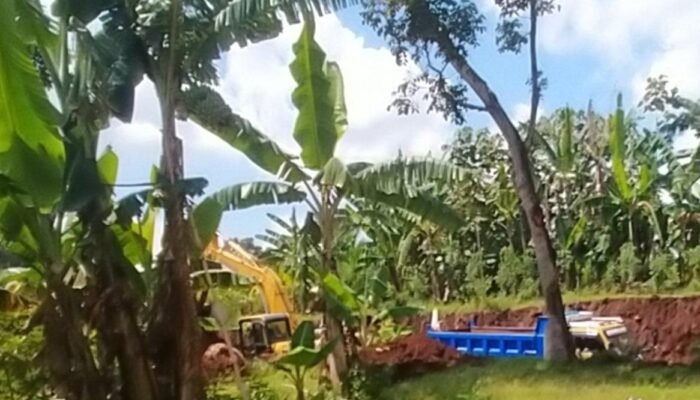 Tambang Galian C Diduga Ilegal di Dasri Banyuwangi, Kades Bungkam – Ada Apa Ya?