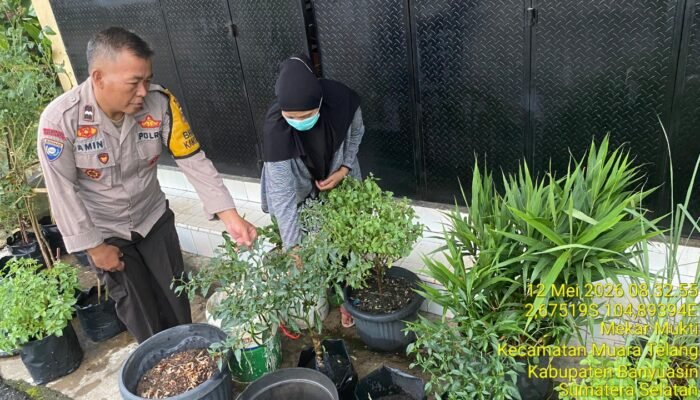 Bhabinkamtibmas Muara Telang Gerakkan Wujudkan Swasembada Pangan, Kapolres Banyuasin Terima Laporan Langsung
