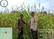 Bhabinkamtibmas Air Kumbang Gerakkan Warga Desa Nusa Makmur Dukung Swasembada Pangan