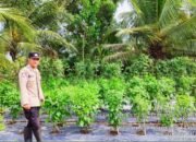 Bhabinkamtibmas Polsek Muara Telang Gerakkan Masyarakat Dukung Swasembada Pangan Nasional