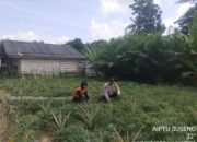 Bhabinkamtibmas Polsek Tungkal Ilir Gerakkan Masyarakat Dukung Program Swasembada Pangan Nasional