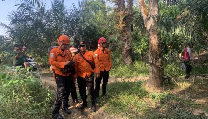 *Lansia 80 Tahun Hilang Misterius di Musi Rawas, Tim SAR Gabungan Lakukan Pencarian*