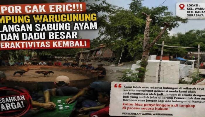Lapor Cak Eric!!! Kampung Warugunung Kalangan Sabung Ayam dan Dadu Besar Beraktivitas Kembali