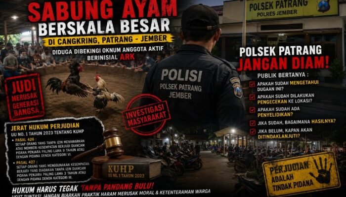 Polsek Patrang Jangan Cuma Diam, Dugaan Sabung Ayam di Cangkring Harus Diusut Terang