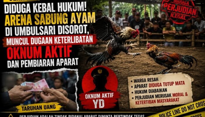 Diduga Kebal Hukum! Arena Sabung Ayam di Umbulsari Disorot, Muncul Dugaan Keterlibatan Oknum Aktif dan Pembiaran Aparat