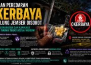 Dugaan Peredaran Obat Keras ‘Okerbaya’ di Balung Lor : Kasat Resnarkoba dan Kapolres Diminta Tindak Tegas, Telusuri Hingga ke Sumber