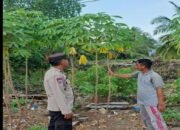 Bhabinkamtibmas Polsek Banyuasin II Ajak Warga Marga Sungsang Manfaatkan Pekarangan untuk Ketahanan Pangan